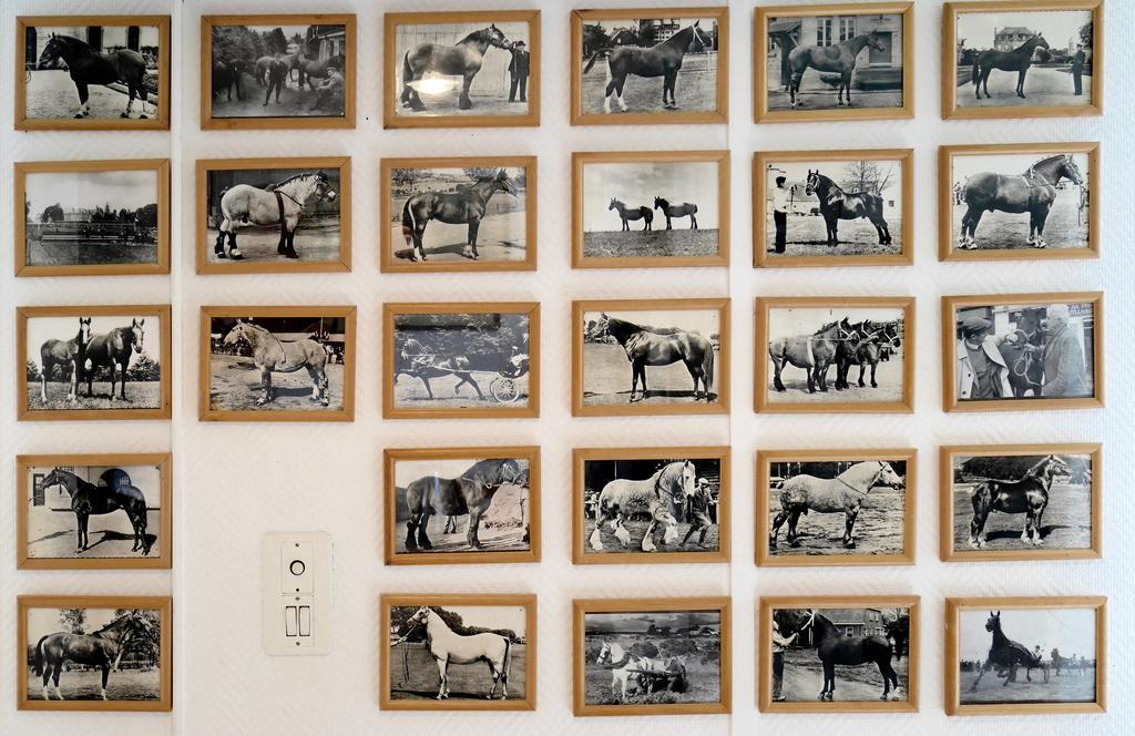 Les Appartements du Palais Bergerac Extérieur photo